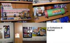 La collezione di un fan di Naruto francese 2